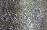 Higher Whitley fibreglass roof work